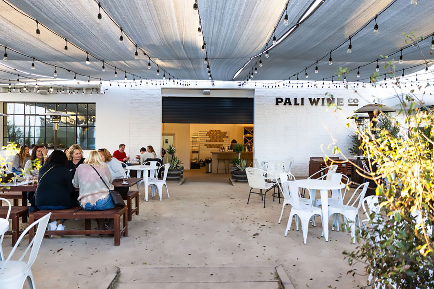 Pali Winery